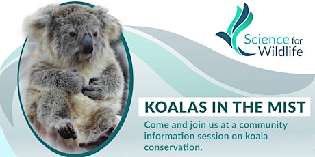Koala Community Information Session primary image