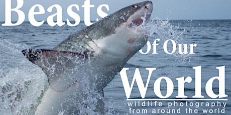 Beasts of Our World - wildlife photography exhibition primary image