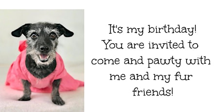 Hazel Grace's Birthday Party!!! primary image
