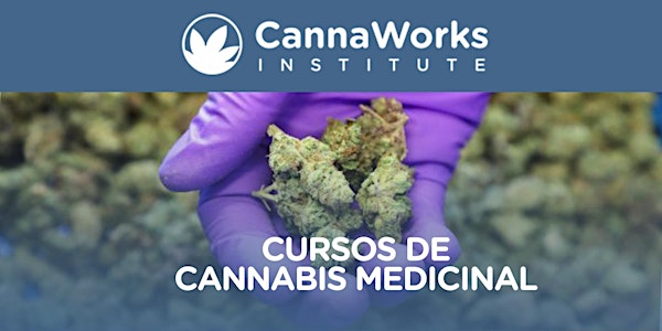 MAYAGÜEZ | Cannabis Training Camp | CannaWorks Institute 