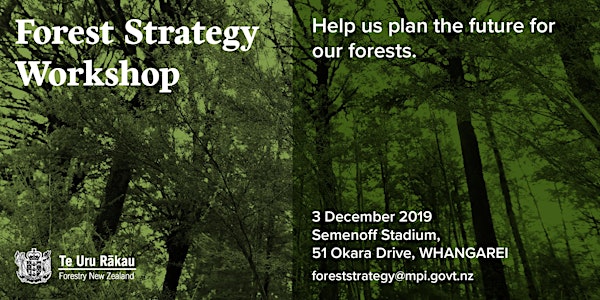 Forest Strategy Workshop