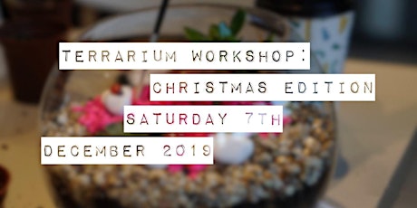 Terrarium Workshop: Christmas Edition primary image