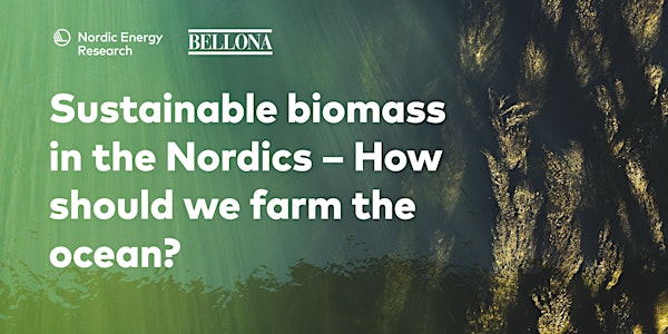Sustainable biomass in the Nordics – How should we farm the ocean?