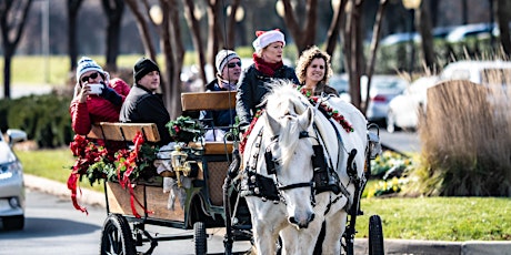Horse & Carriage Rides at Winter WonderLansdowne primary image