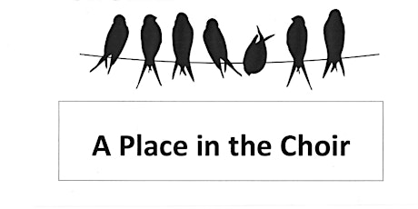 A Place in the Choir primary image