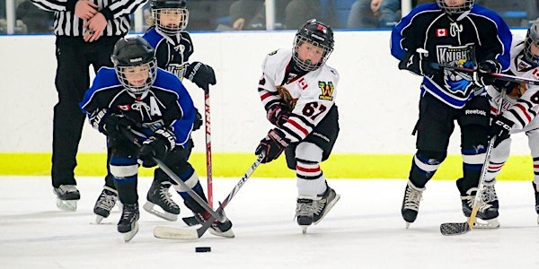 Skater Skills Jan 18 – Novice (2012 & 2011), Atom (2010 & 2009) & Peewee (2008 & 2007)