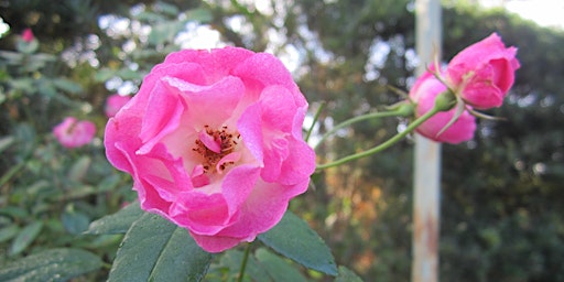 Slidell La Hobbies Class Events Eventbrite