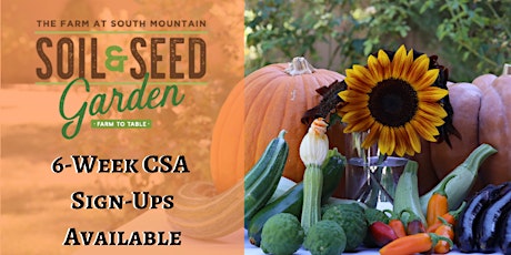 Soil & Seed Garden 6-Week Fall CSA Program primary image