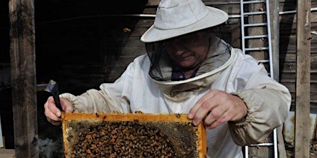 Basic Beekeeping (Adults 16+) (Woden Library) primary image