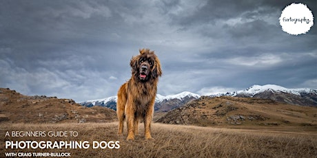 A Beginners guide to photographing dogs with Craig Turner-Bullock primary image