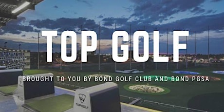 Top Golf primary image