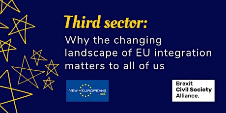 Third sector: why the changing landscape of EU integration matters to you primary image
