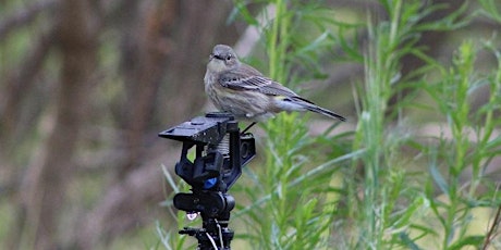  Bird Walk - Mason Regional Park primary image