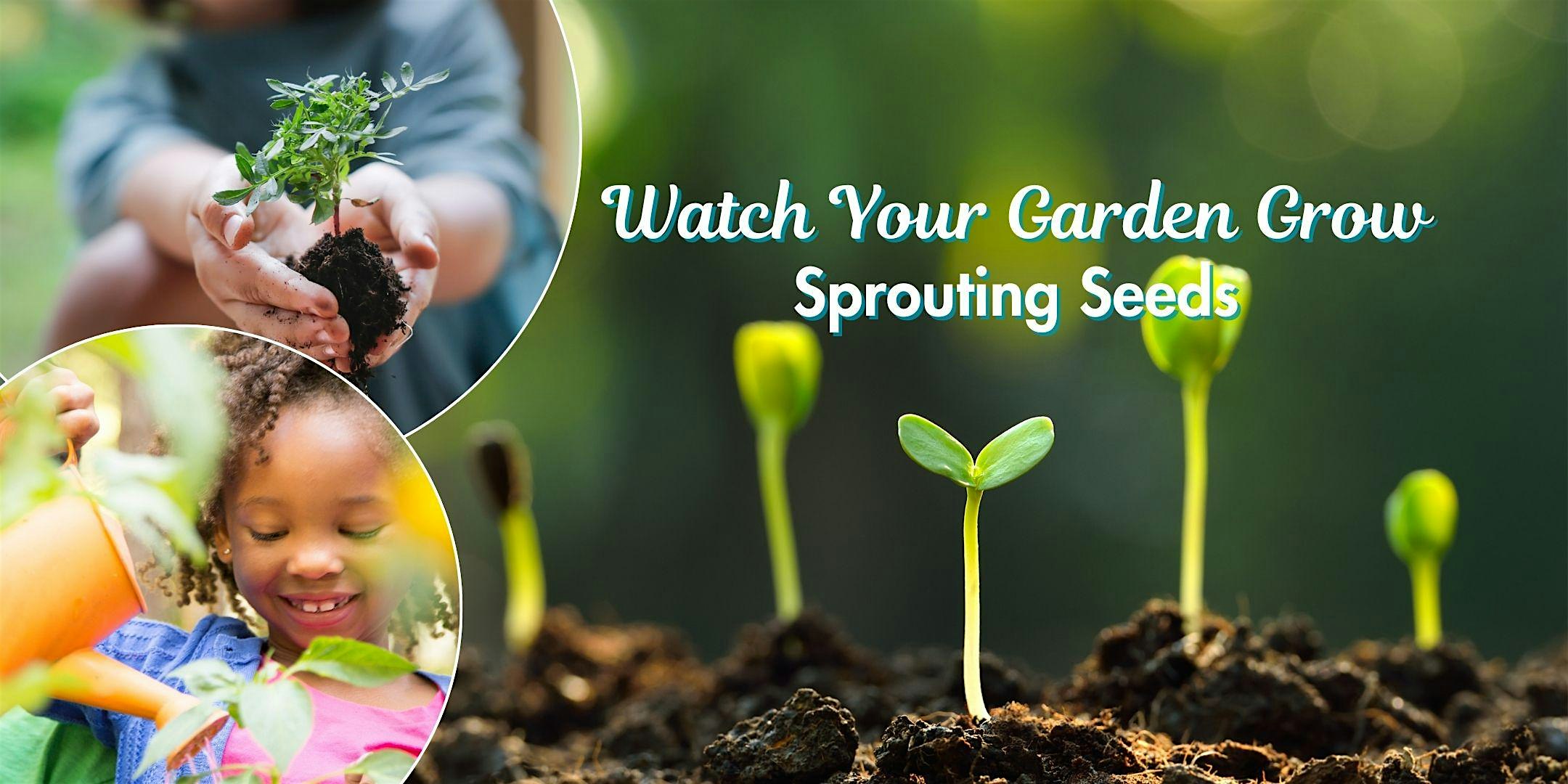 Free Kids Class - Start a Garden from Seeds