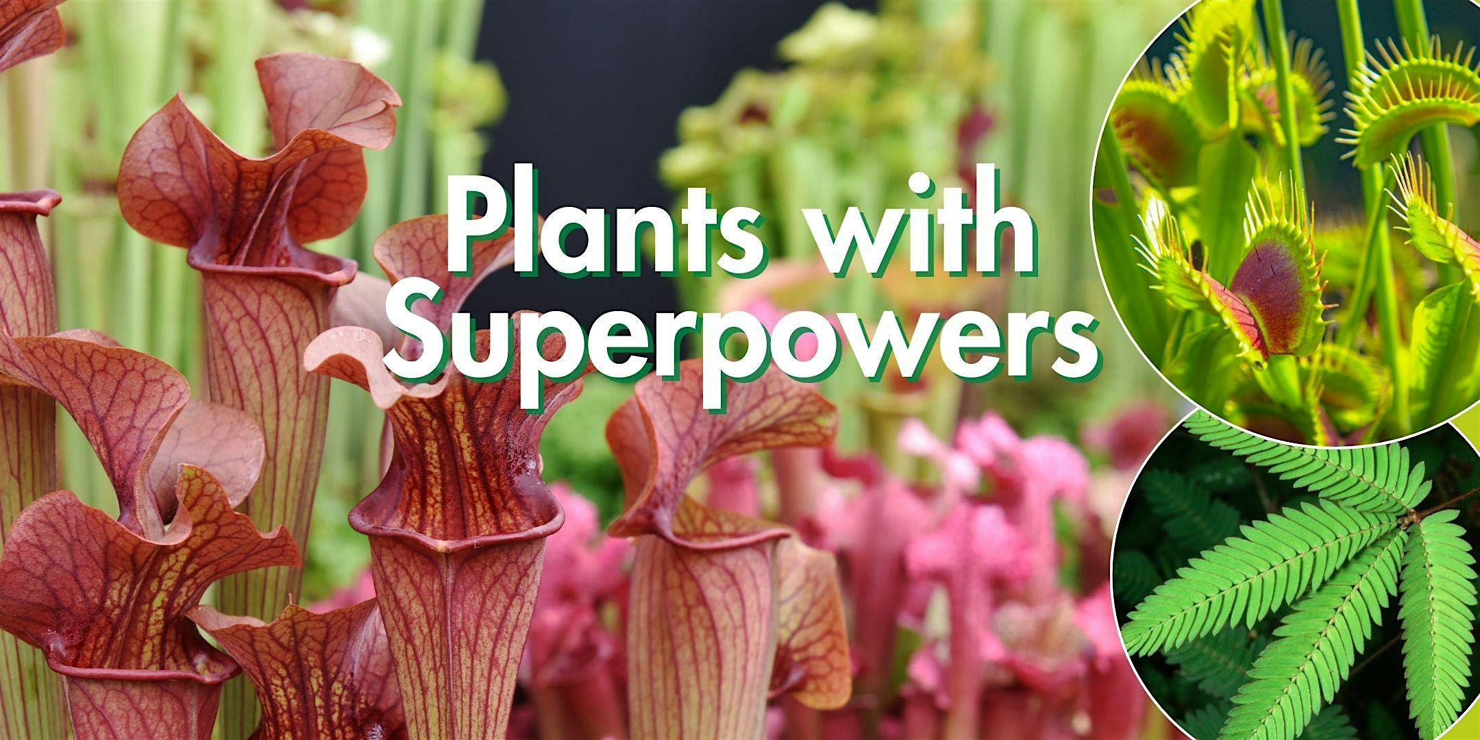 Free Kids Class - Plants with Superpowers
