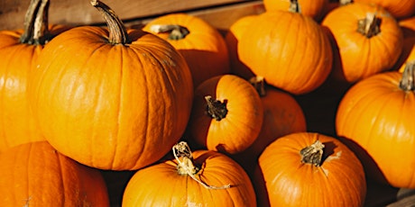 Bicester Autism Pumpkin Carving primary image