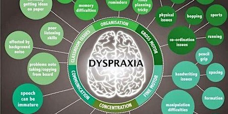 DCD/Dyspraxia Training for Education Professionals - Webinar