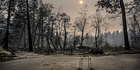 CAMP FIRE: One Year Later primary image