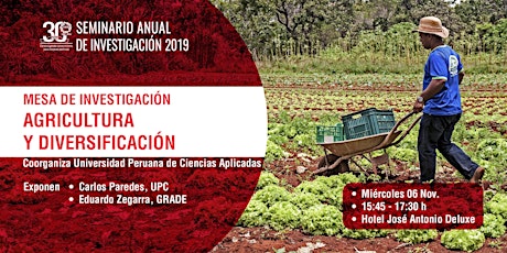 Imagen principal de Mesa de Investigación: Agricultura y diversificación