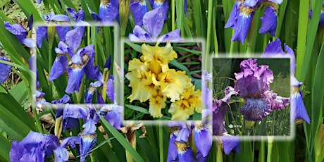 Williamsburg Botanical Garden Events Eventbrite