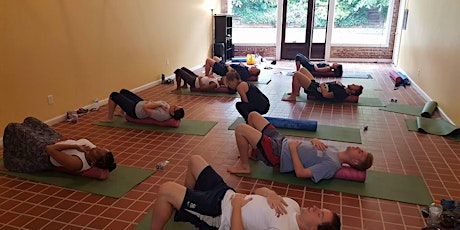 Fascia Training for Pain Relief & Flexibility. Train the Trainer Workshop! primary image