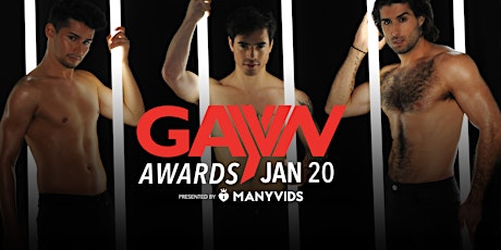 Imagen principal de GayVN Awards January 20, 2020