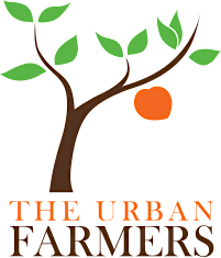 Organizer profile image