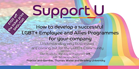 How to create your LGBT+ Employees & Allies Programme primary image