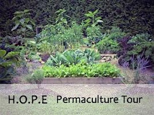 H.O.P.E Permaculture Tour: Homesteading Organically to Produce Ecosystems primary image