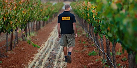 ReadHeads - Wines from Australia primary image