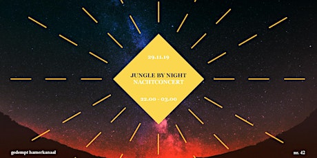 Jungle By Night - Nachtconcert