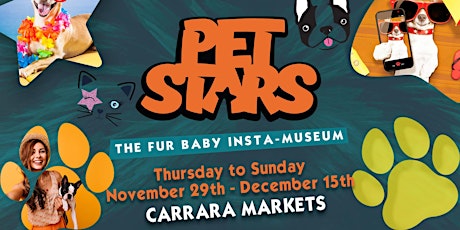 Pet Stars [Gold Coast] Thursday Cat Sessions primary image