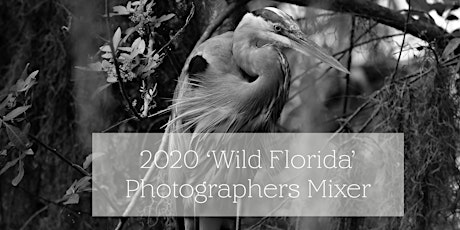 2020 Wild Florida  Photographers Mixer primary image