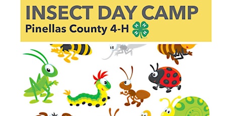 Insect Day Camp primary image