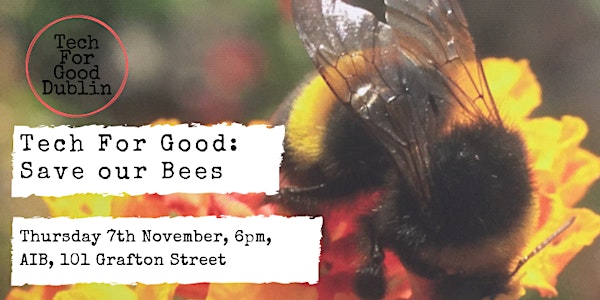 Tech for Good: Save our Bees