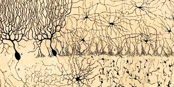 [off-SINERGIA] Obra de Cajal