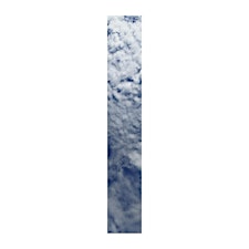 Organiser profile image