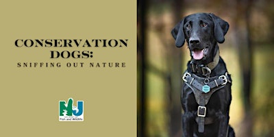 Conservation Dogs: Sniffing Out Nature primary image
