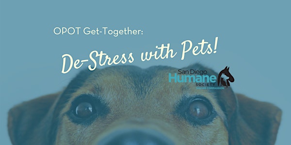 OPOT Get-Together: De-Stress with Pets
