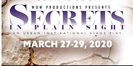 STAGE PLAY AUDITIONS - SECRETS IN THE PLAIN SIGHT primary image