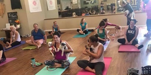 New York Ny Health Party Events Eventbrite