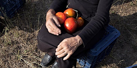 Imagen principal de Arica Nativa 2019: Cuando los tomates conocieron a Wagner (Gratis)