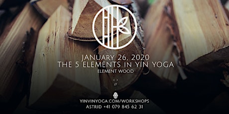 Hauptbild für The 5 Elements in YIN YOGA - Element Wood