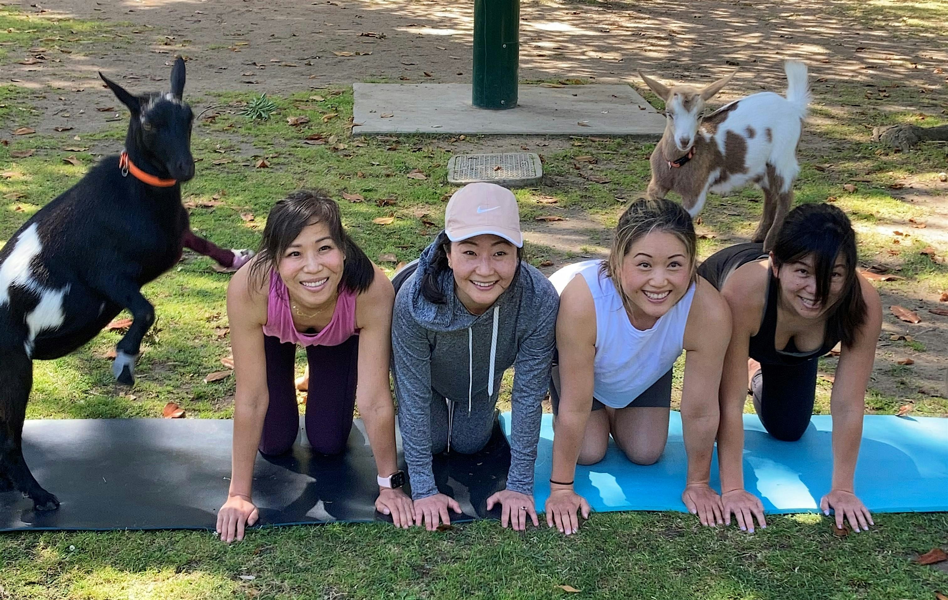 Goat Yoga in the Park - July 28th at 9:00am