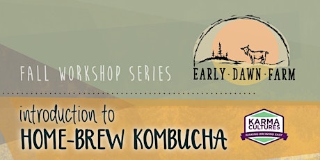 Introduction to Home-Brew Kombucha primary image
