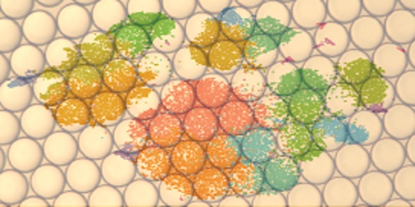 Single Cell Genomics Day 2020: A Practical Workshop