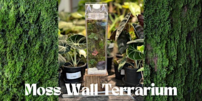 Moss Wall Terrarium primary image