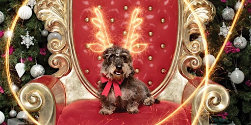 Brisbane Australia Pet Barn Events Eventbrite