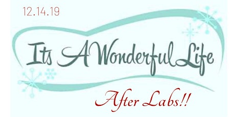 It's a Wonderful Life After Labs primary image
