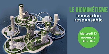 Image principale de Le Biomimétisme : Innovation Responsable